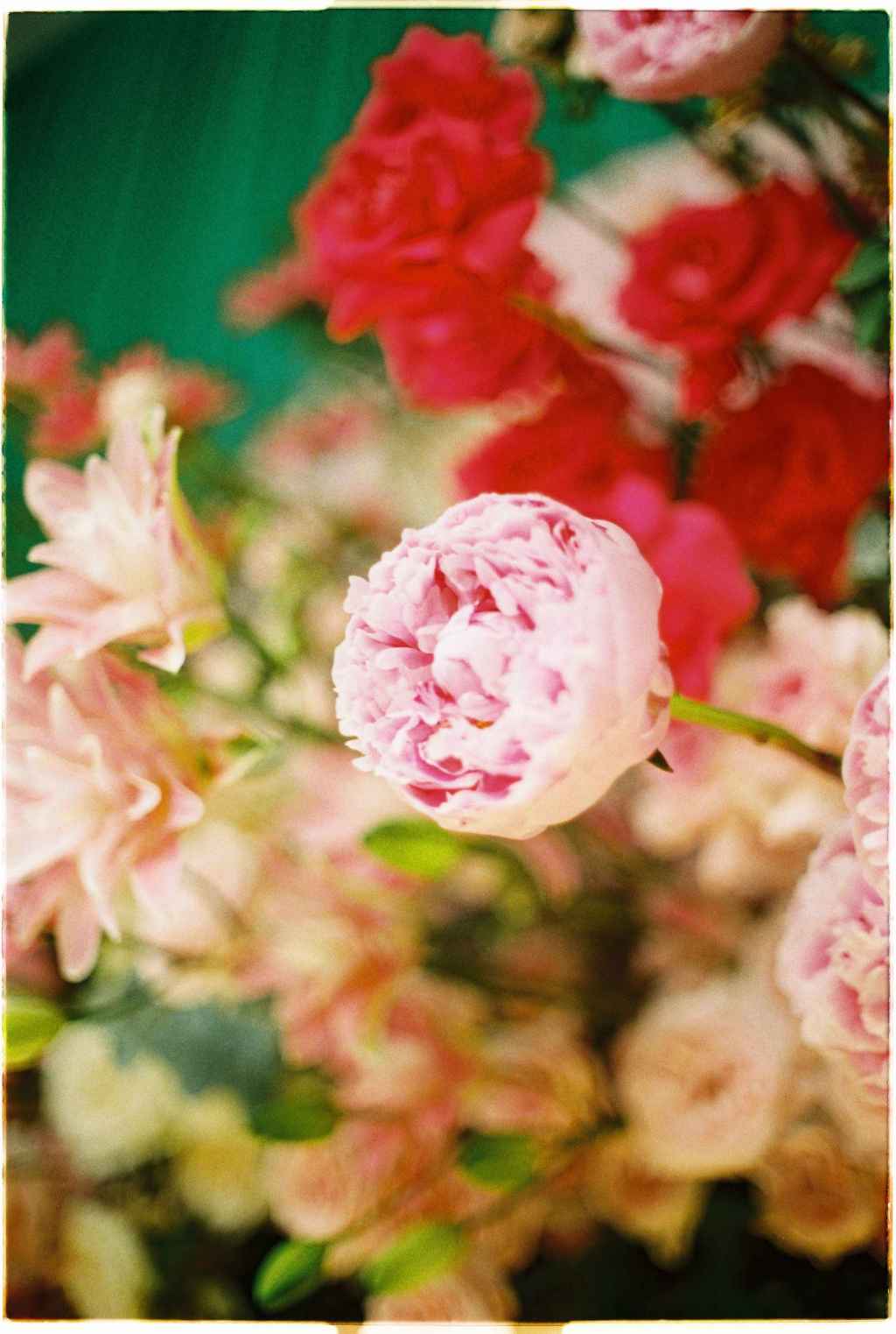 Ancestral Ceremony – NP&nbsp;Wedding